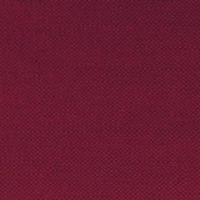 Black currant Black currant