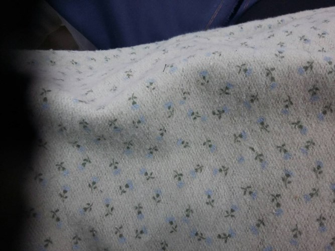 Flannel flower samples Ifasmata123.gr Flannel flower samples