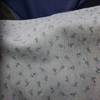 Flannel flower Ifasmata123.gr Flannel flower