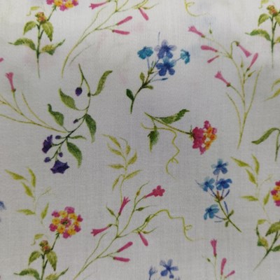 Λουλούδια Λευκό Λουλούδια Λευκό