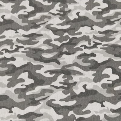 Παραλλαγή γκρι Παραλλαγή γκρι