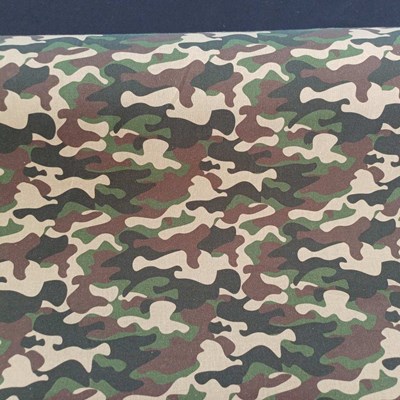 Παραλλαγή Παραλλαγή