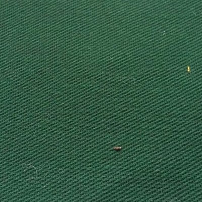 Dark green Dark green