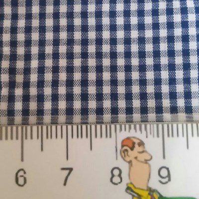 Blue - Check Blue - Check