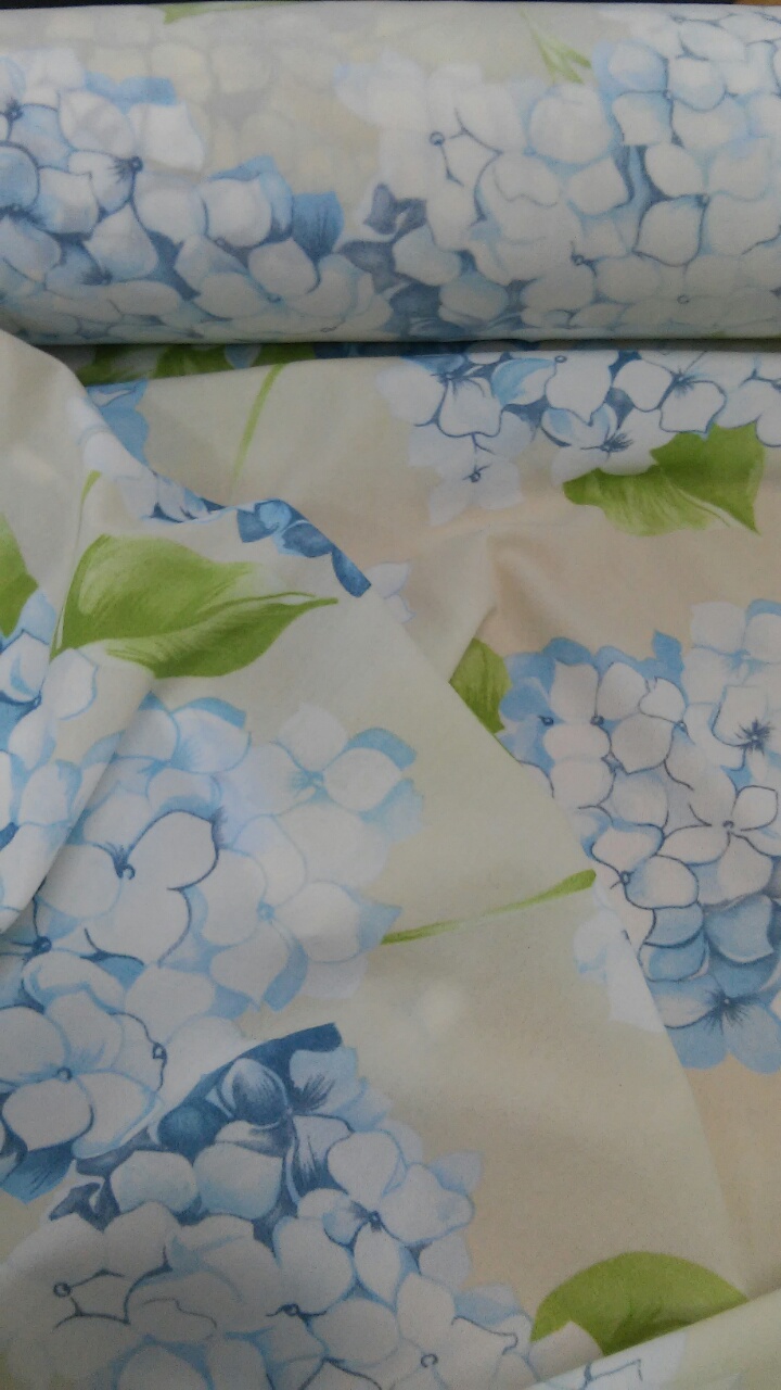 λουλούδια ελαστικό ζέρσευ