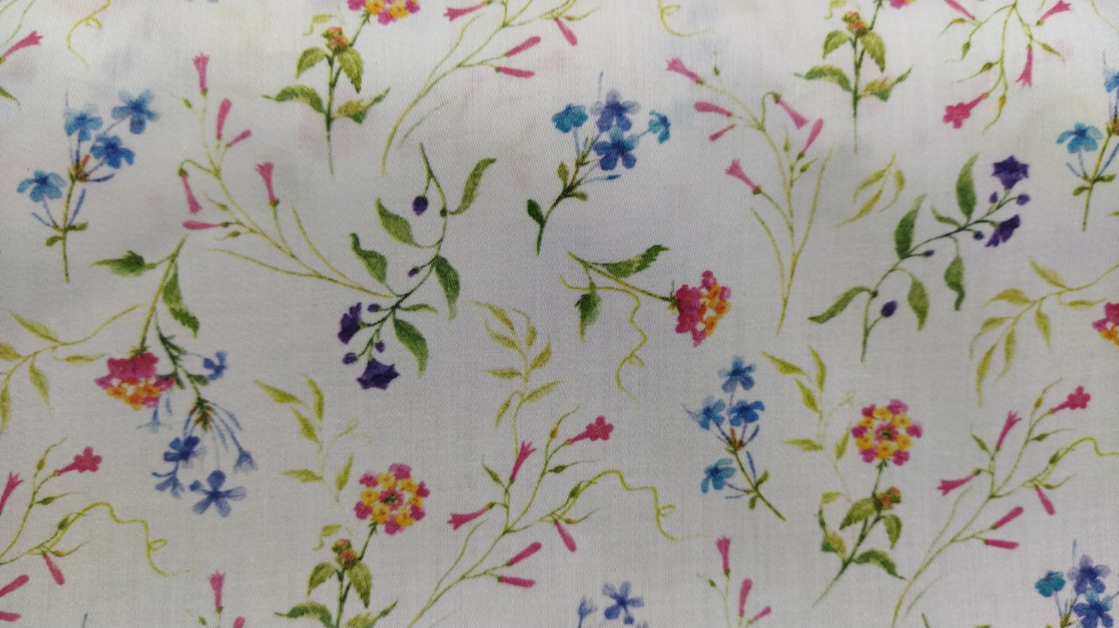 Λουλούδια Λευκό