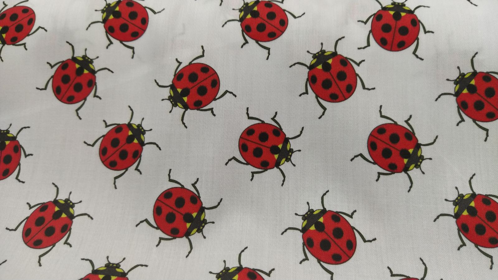 Ladybirds