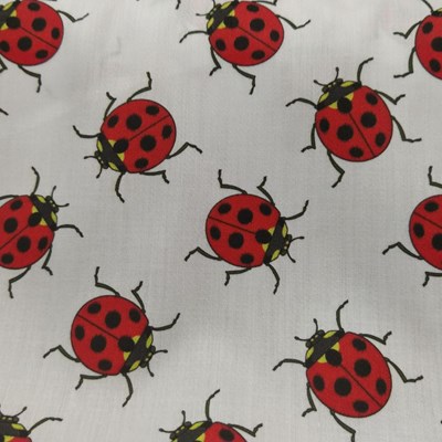 Ladybirds