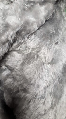 Ifasmata123.gr Fake Furs samples