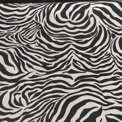 Animal zebra