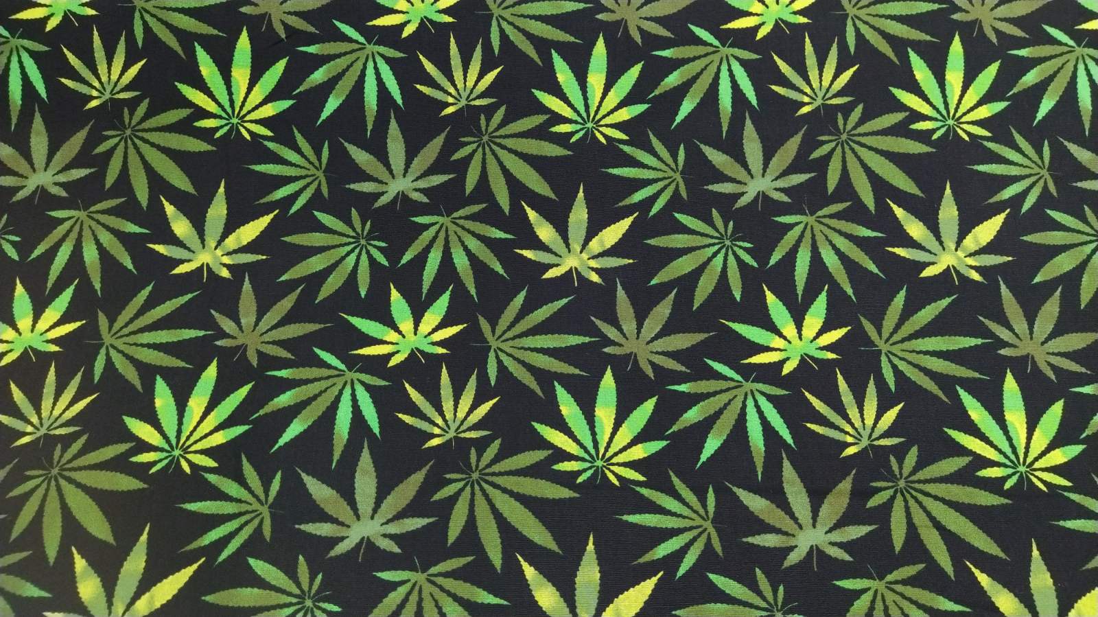 Φύλλα πράσινο