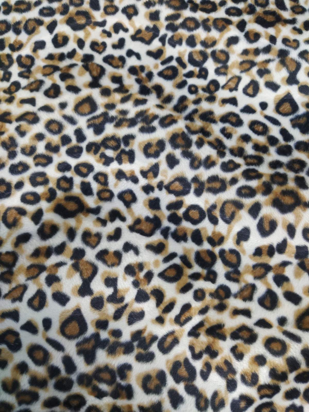 Leopard 1