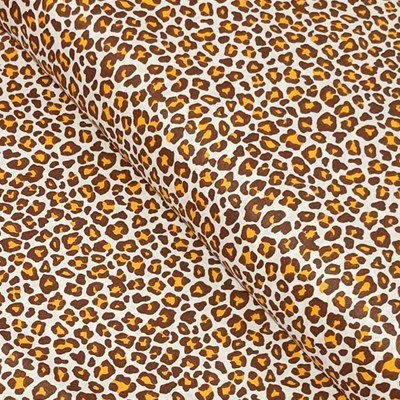 Πορτοκαλί λεοπάρ Πορτοκαλί λεοπάρ