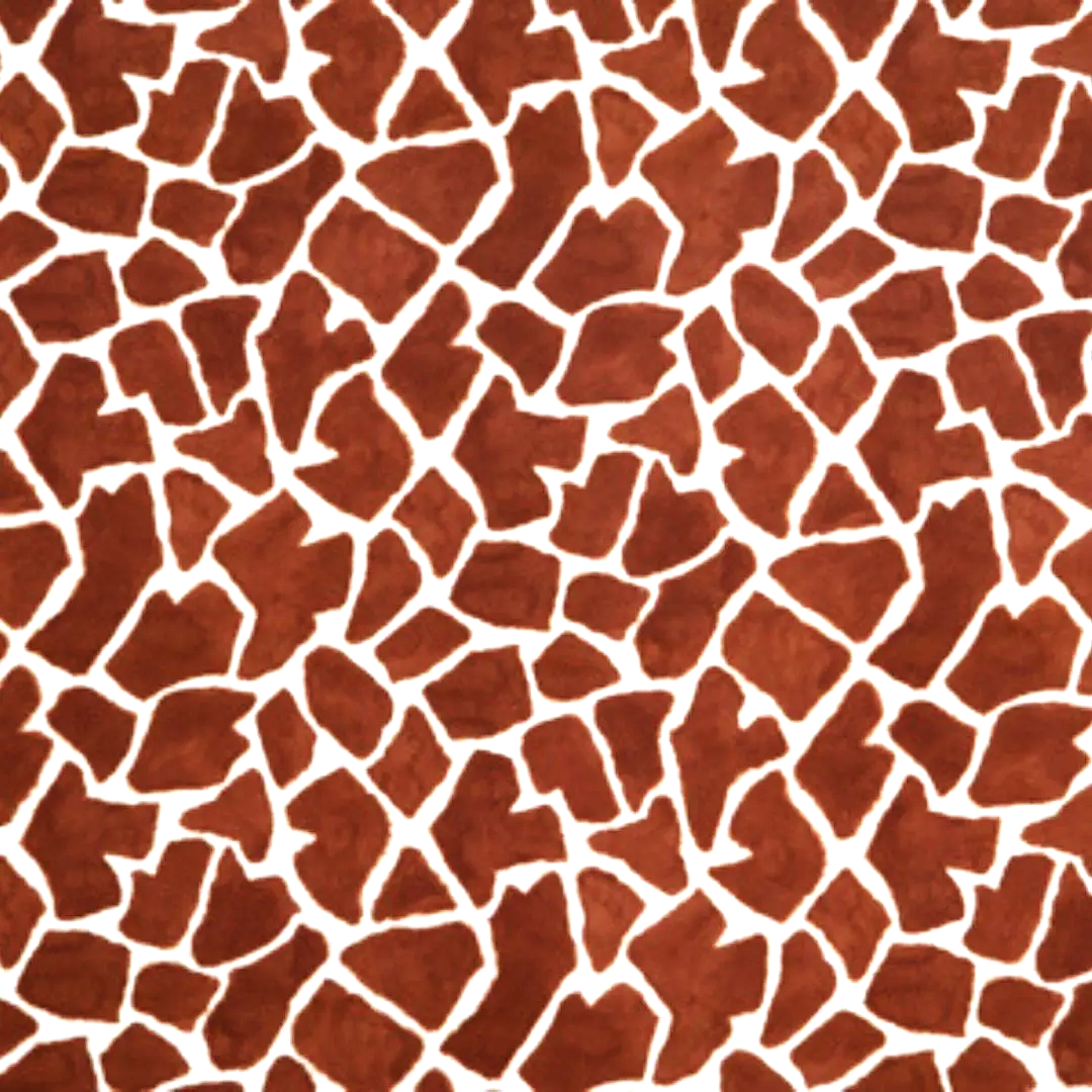 Καμηλοπάρδαλη